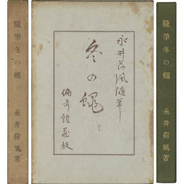 冬の蝿　