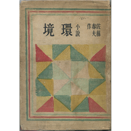 小説 環境　