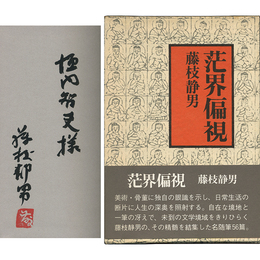 茫界偏視　