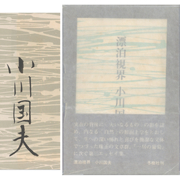 漂泊視界　