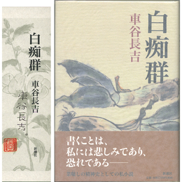 白痴群　