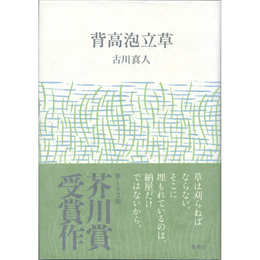 背高泡立草　