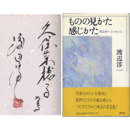 ものの見かた感じかた　渡辺淳一エッセンス