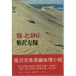 翳った砂丘　