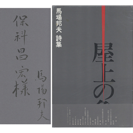 屋上の亀　