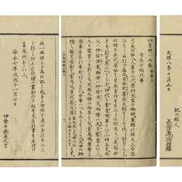 四季草　
