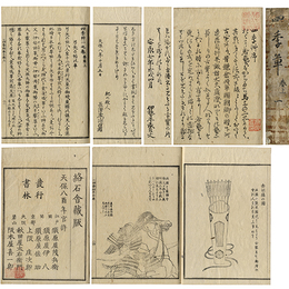 四季草　