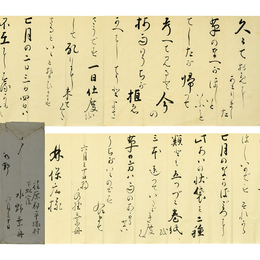 水野葉舟書簡　