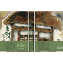馬渕川　