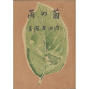 菊の雨　