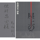 屋上の亀　