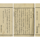 四季草　
