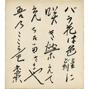 結城哀草果色紙　