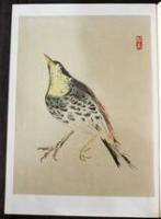 現代作家デッサン　金島桂華