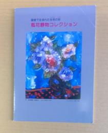 瓶花静物コレクション : 画室で生まれた生命(いのち)の彩(いろ)