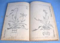 立花時勢粧　（立華時勢粧）　全８冊