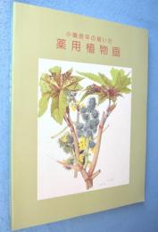 小磯良平の描いた薬用植物画 