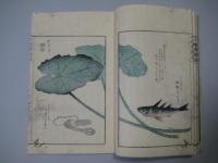 北蝦夷餘誌