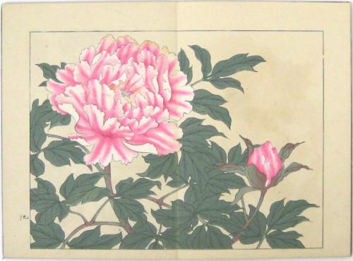 四季の花 <明治版>(酒井抱一 鈴木其一 中野其明) / 古本、中古本 四季の花 <明治版>(酒井抱一 鈴木其一 中野其明) / 古本、中古本
