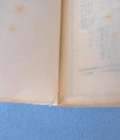 異民族の支那統治史