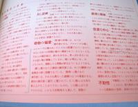 間 : 20年後の帰還展