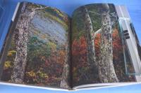 山の季節 : 田淵行男写真集