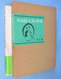 小山富士夫の世界