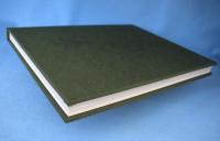 茶庭 : 風間宗丘・宗景作庭集