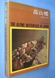 高山蝶 : 生態写真