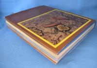 高山蝶 : 生態写真