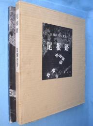 尾根路 : 田淵行男写真集　＜朋文堂山岳文庫　第10＞