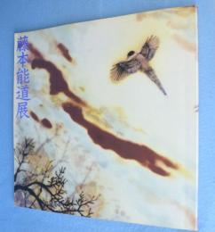 藤本能道展 : 釉描加彩新作をあつめて