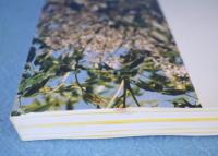 世界的な博物学者南方熊楠へのいざない：（財)南方熊楠記念館資料　1・2　2冊