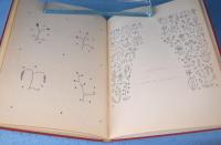 Yamana-Ayao装画集