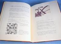 草木染 : 型染の色