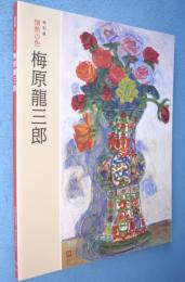 梅原龍三郎 : 特別展情熱の色