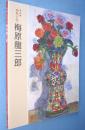 梅原龍三郎 : 特別展情熱の色