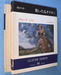 盲いたるオリオン　＜叢書創造の小径＞
