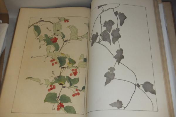 非水百花譜 文化遺産オンライン