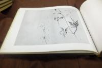 景年草花写生帖　全４巻