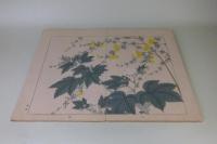 四季の花