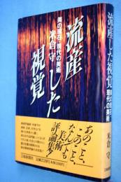 流産した視覚 : 美の現在・現代の美術