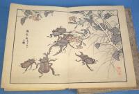 楳嶺畫譜　３帖（花鳥之部１・２、虫類之部）