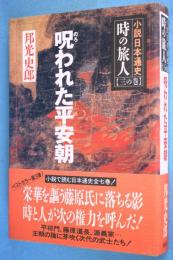 時の旅人 : 小説日本通史 3の巻 (呪われた平安朝)