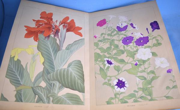 洋草花譜 第1～第16(千種掃雲) / 古本、中古本、古書籍の通販は「日本