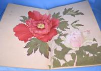 象形花卉帖　第1巻