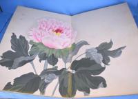 象形花卉帖　第1巻