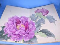 象形花卉帖　第1巻