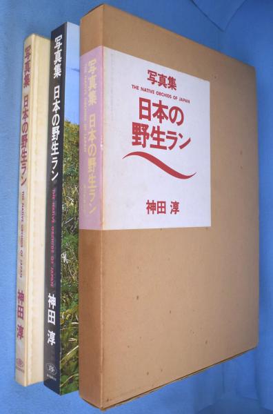 写真集 日本の野生ラン 神田淳 誠文堂新光社 日本の野生ラン : 写真集(神田淳 著) / 古本、中古本、古書籍の通販は