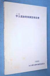 宇土遺跡発掘調査報告書